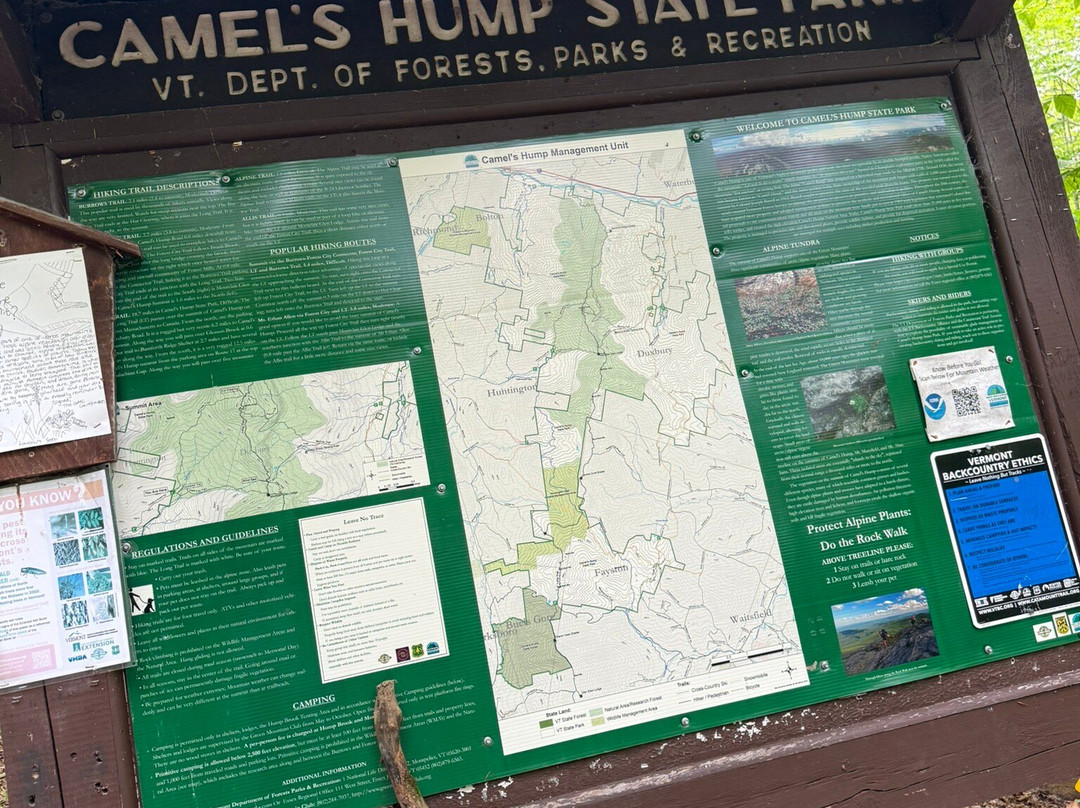 Camel's Hump State Park-沃特伯里必去景点