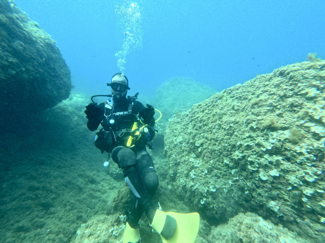 Mardays Dive & Water Experience-哈韦阿必去景点