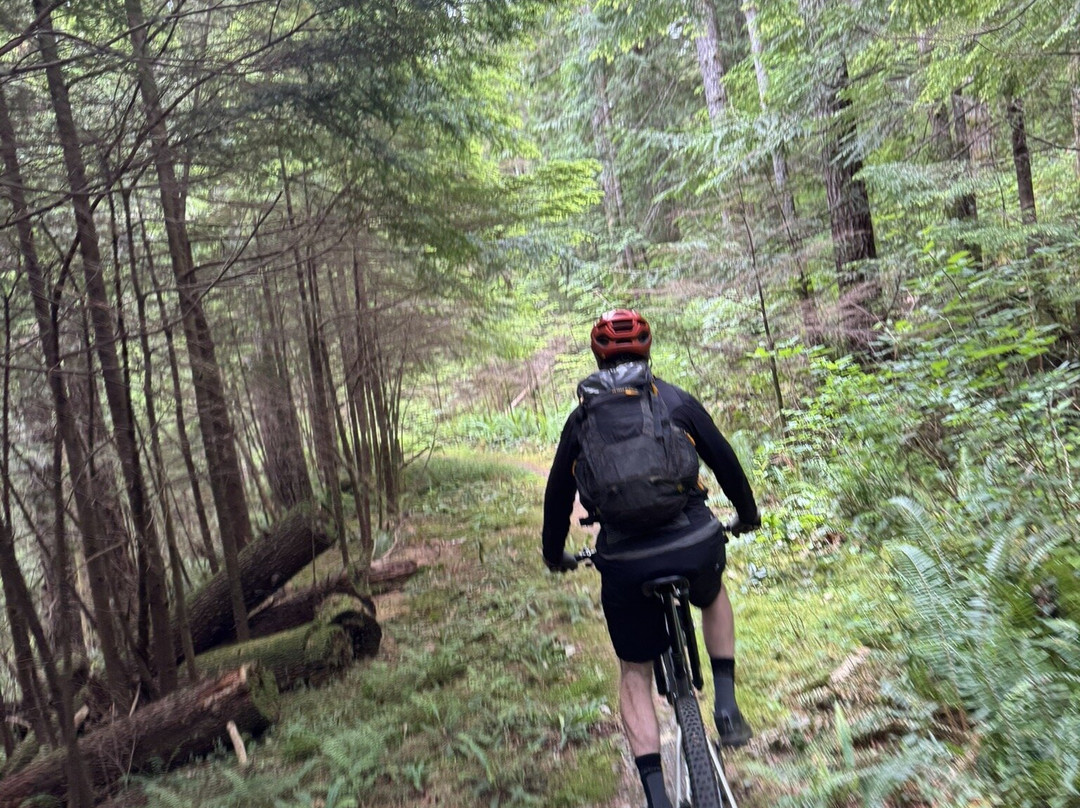 Island Mountain Rides-Cumberland必去景点