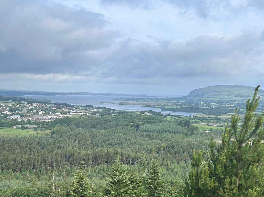 Union Wood / Ballygawley Lough-斯莱戈必去景点
