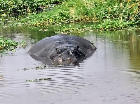 Vision Safari & Tours-阿鲁沙必去景点