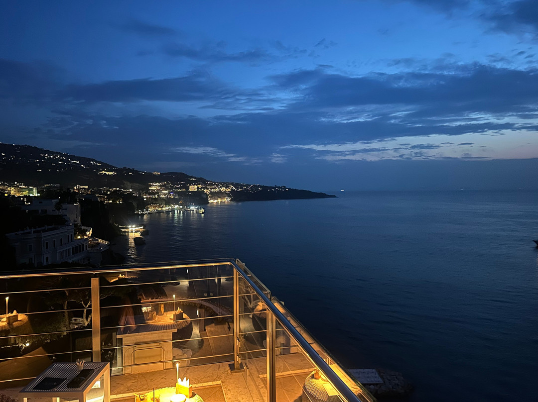 Hotel Mediterraneo Sorrento主图