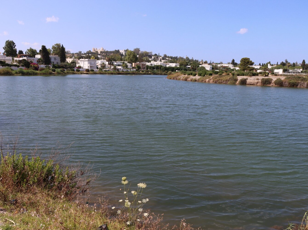 Punic Ports & Museum-迦太基必去景点