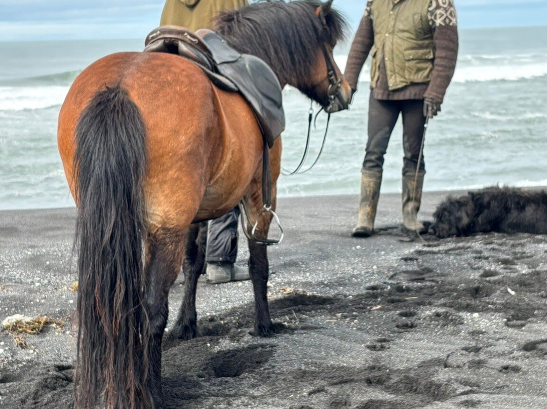 Mr. Iceland-莫斯费德斯拜尔必去景点