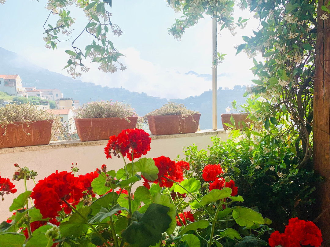 Ravello View主图