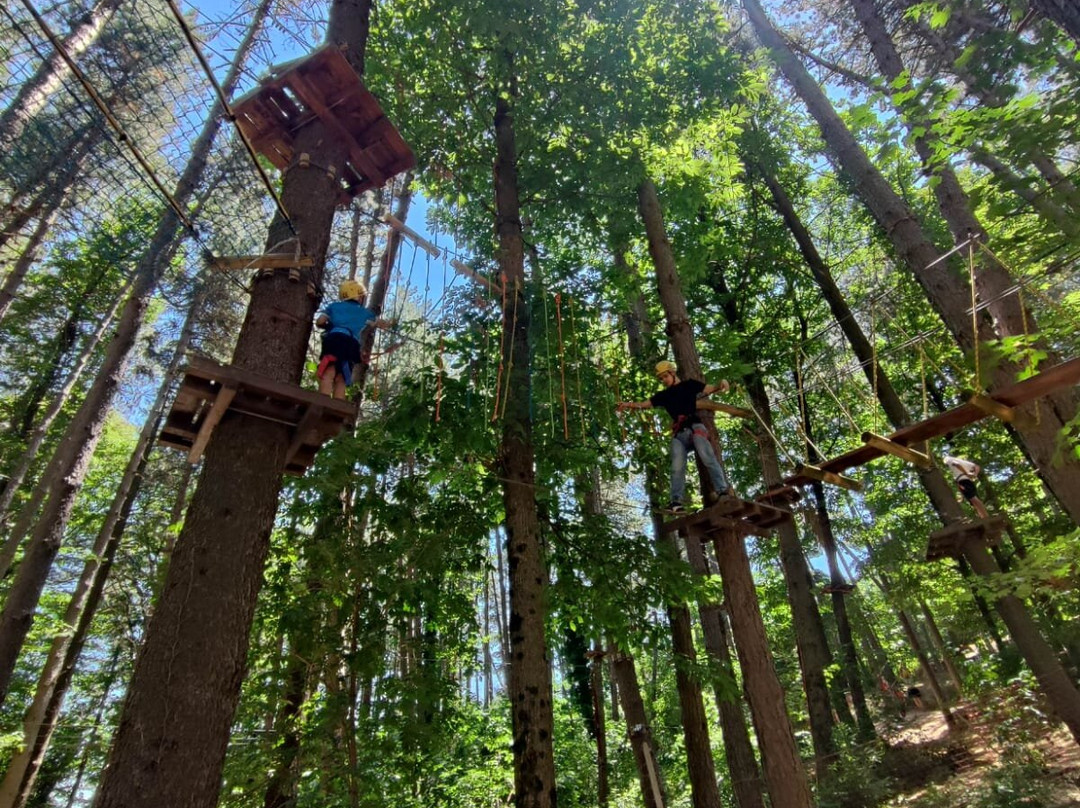 Parco Avventura Montevergine-Ospedaletto d'Alpinolo必去景点