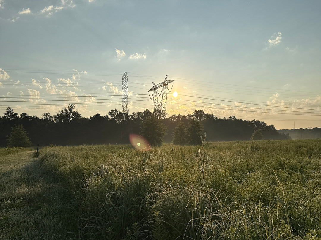 Negri-Napote Native Grassland Preserve-萨默塞特必去景点