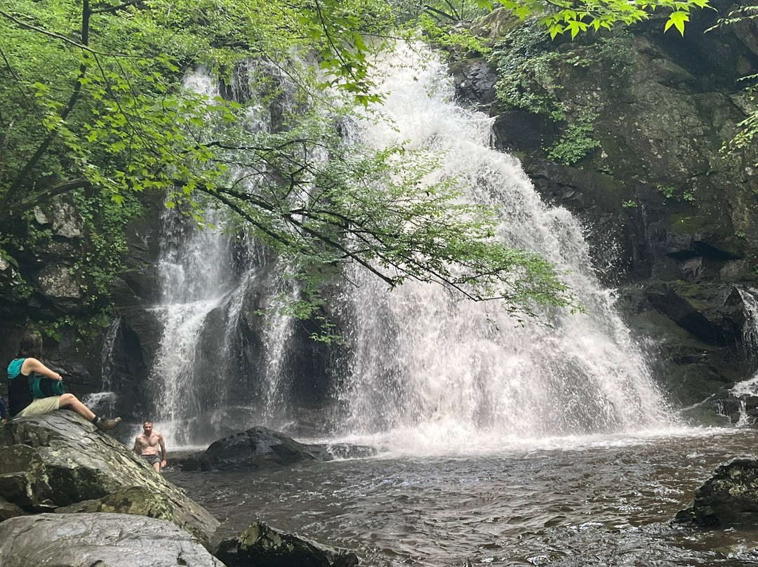 Spruce Flats Falls-大雾山国家公园必去景点