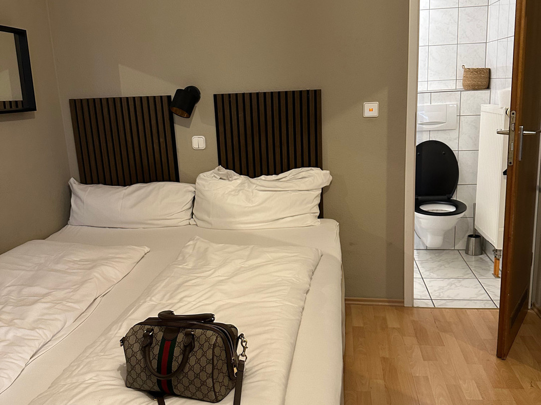 Hotel Auerstein Heidelberg主图