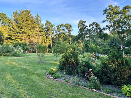 Ye Olde Manor House Bed and Breakfast主图