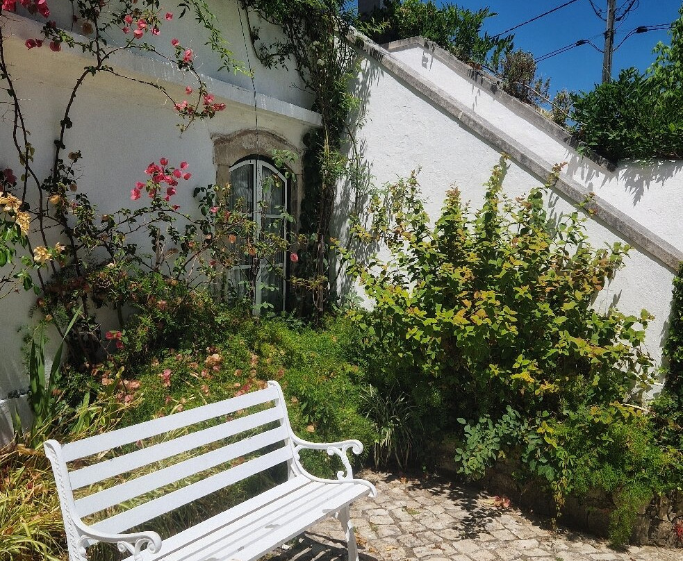 Quinta De S. Lourenco主图