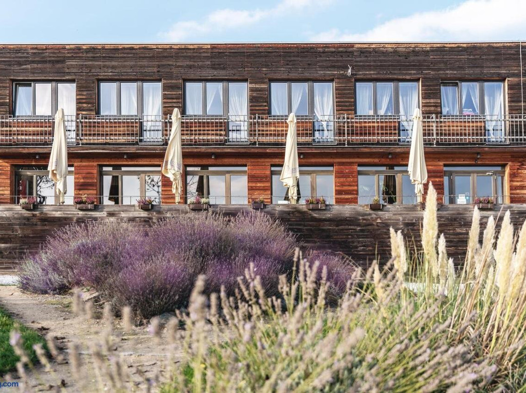 Kamyk nad Vltavou酒店住宿-Pension Jezerna