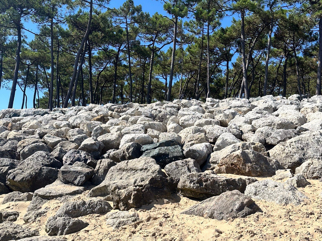 Plage de la Lede-La Palmyre-Les Mathes必去景点