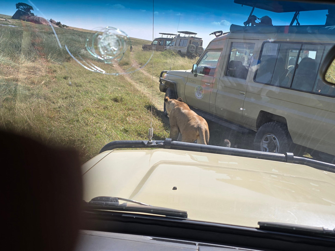 Activentures Africa Safaris-坎帕拉必去景点