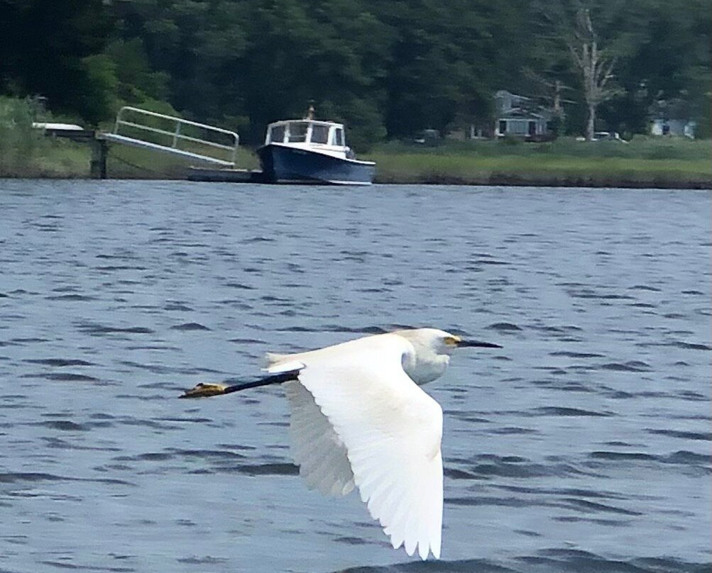 Black Hall Outfitters - Old Lyme-Old Lyme必去景点