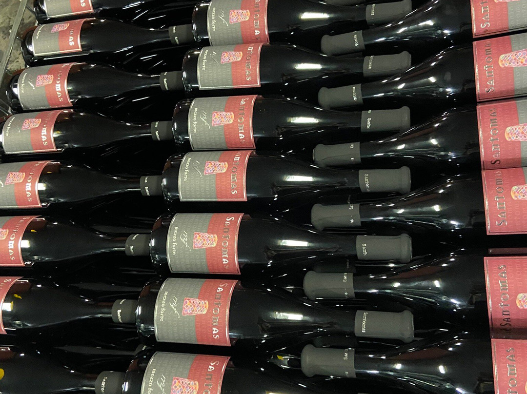 Wine cellar Santomas-Smarje必去景点