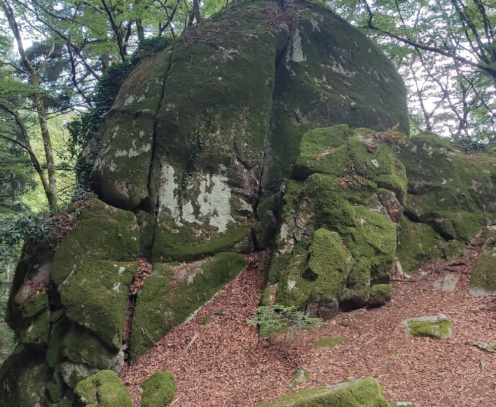 Parco Naturale Regionale delle Serre-Serra San Bruno必去景点