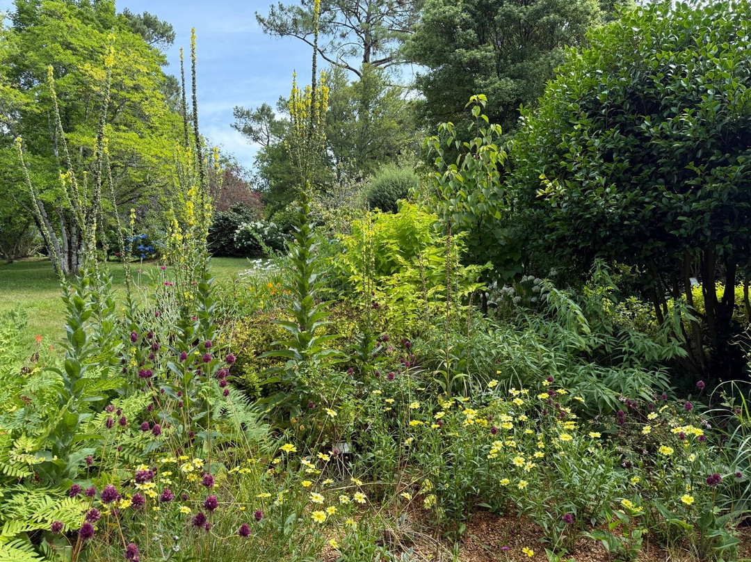Parc Botanique de Cornouaille-孔布里必去景点
