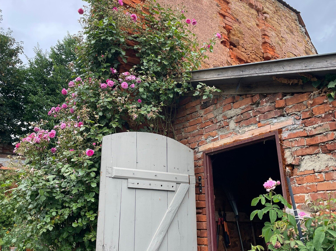 Kamieniec Palace Hotel主图