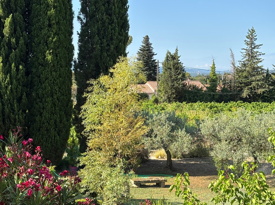 Domaine la Condamine主图