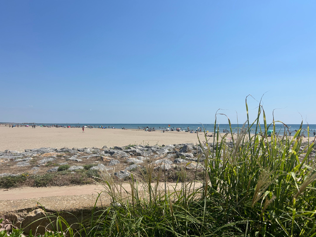 Hotel de la Plage主图