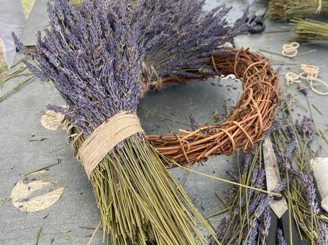 Finchingfield Lavender-Finchingfield必去景点