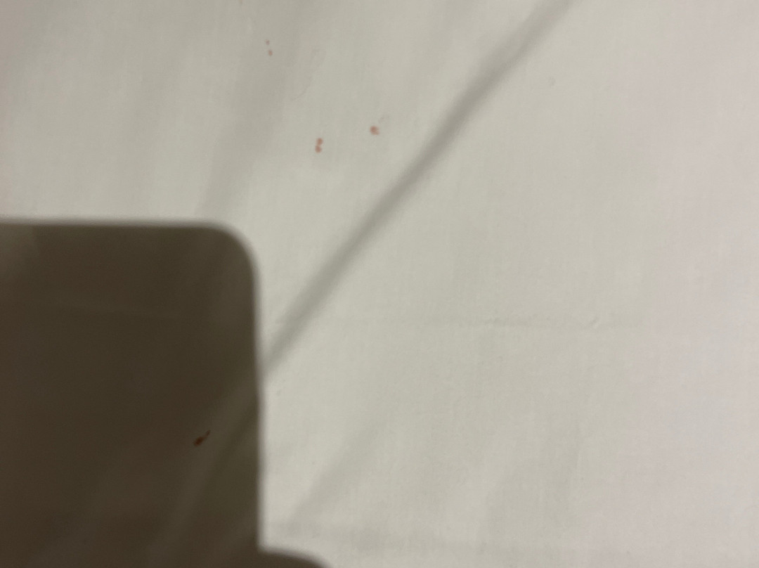 Midlands Saddle & Trout Resort主图