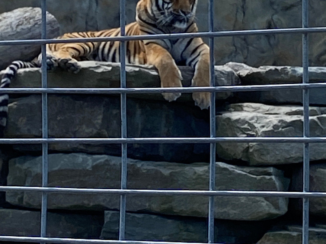 Animal Adventure Park-Harpursville必去景点