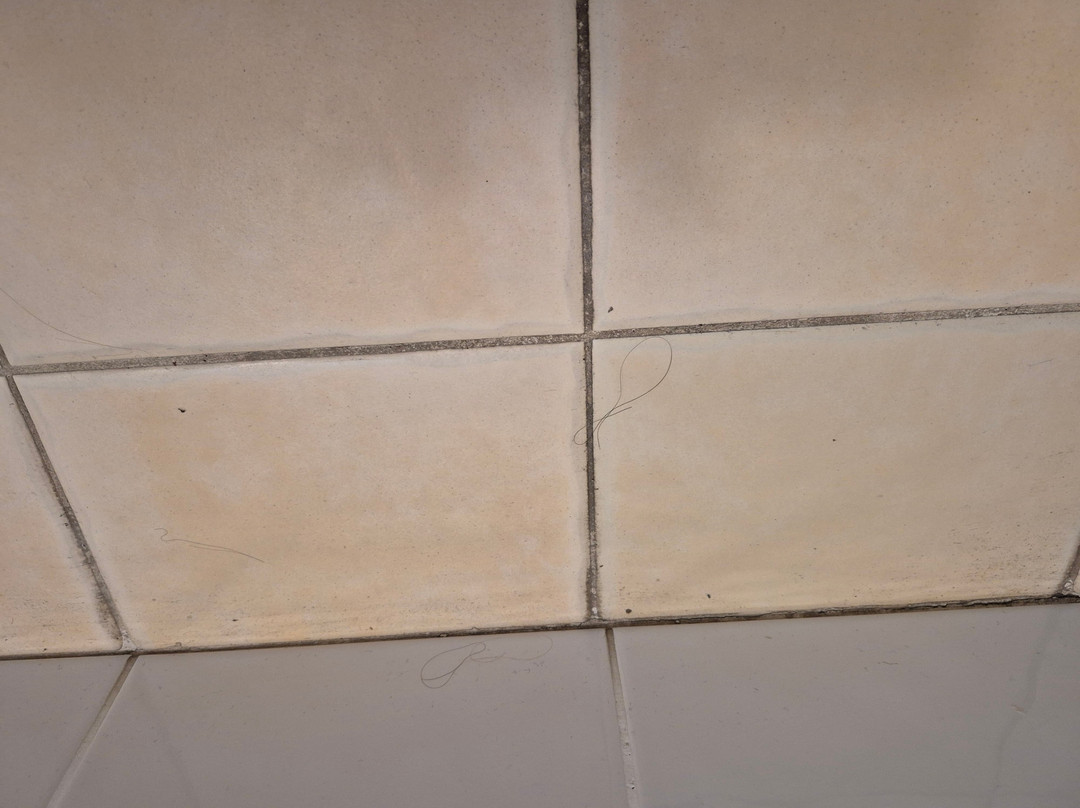 阿米代尔汽车旅馆主图