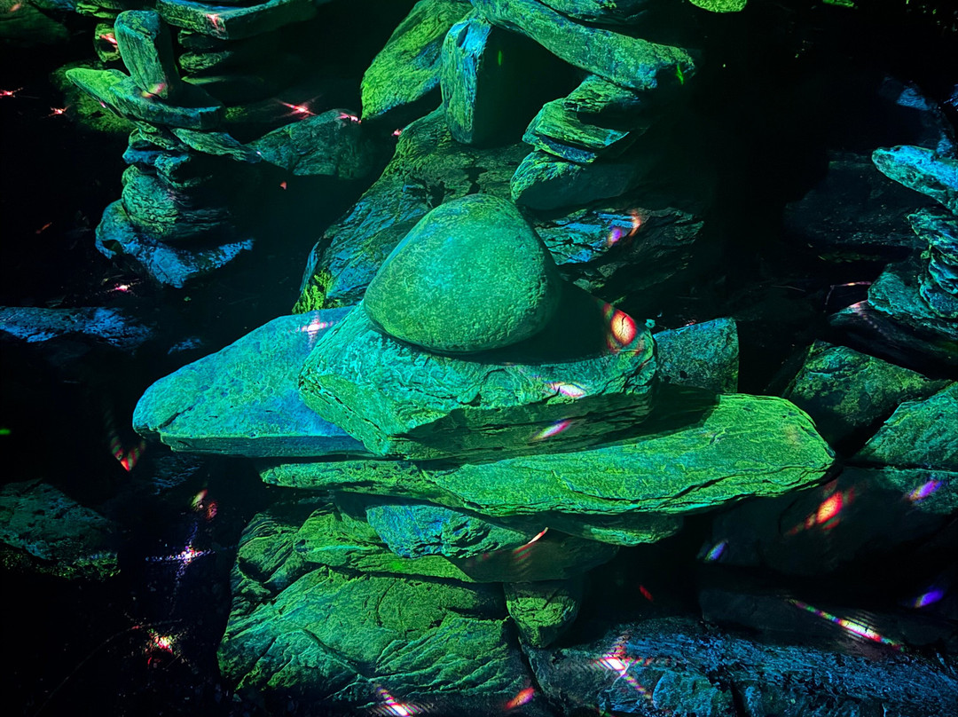 Foresta Lumina-Coaticook必去景点