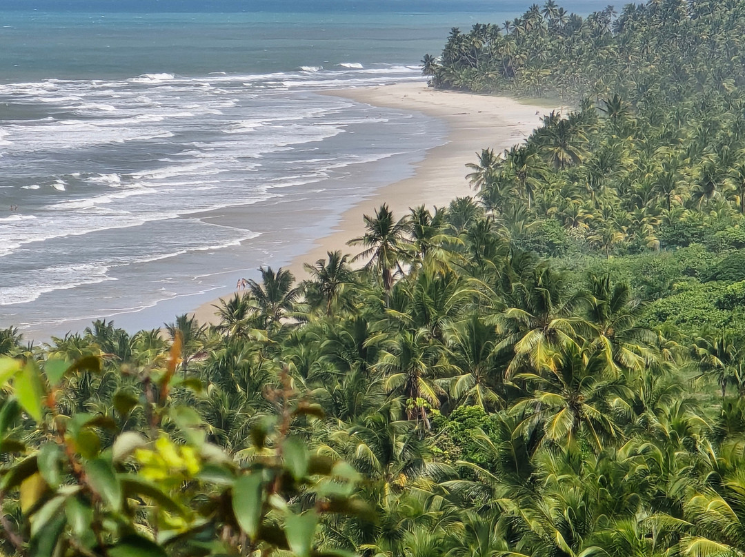 Trilha das Quatro Praias-Itacare必去景点