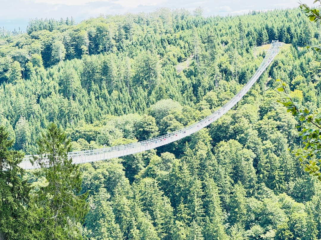Skywalk Willingen