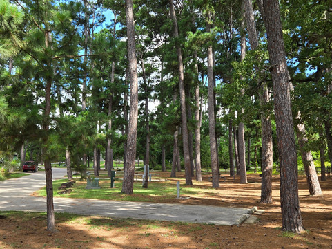 Bastrop State Park-巴斯特罗普必去景点