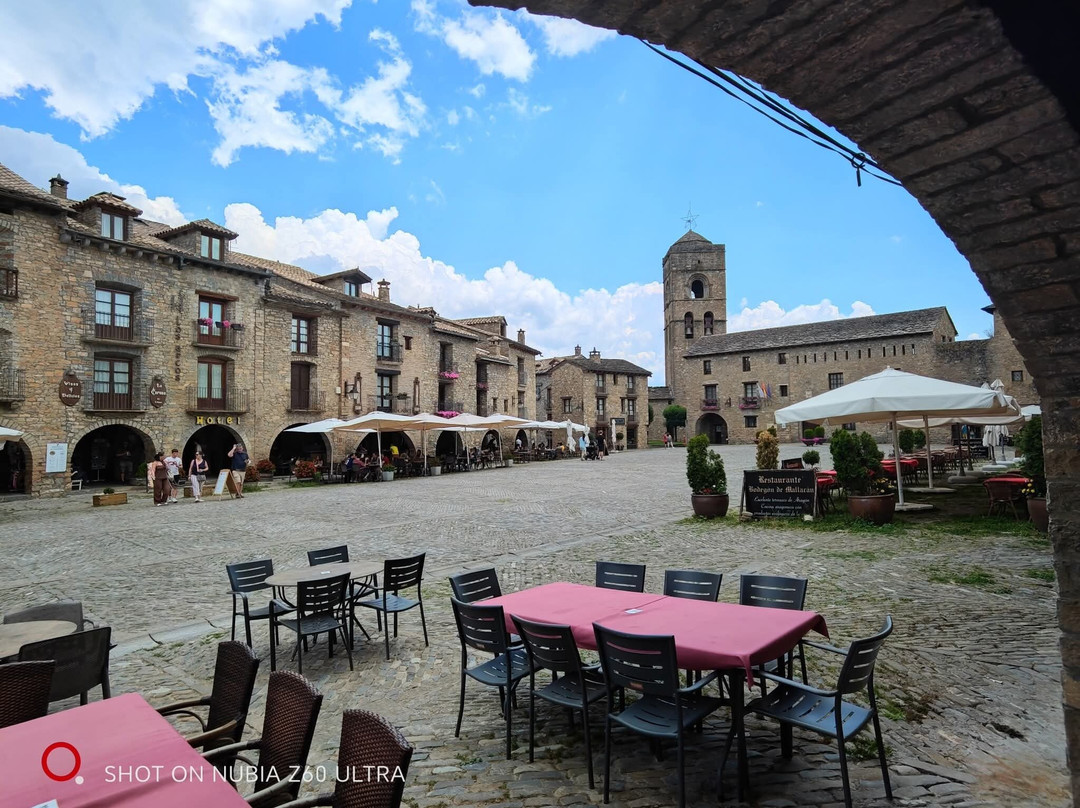 Plaza Mayor-艾因萨必去景点