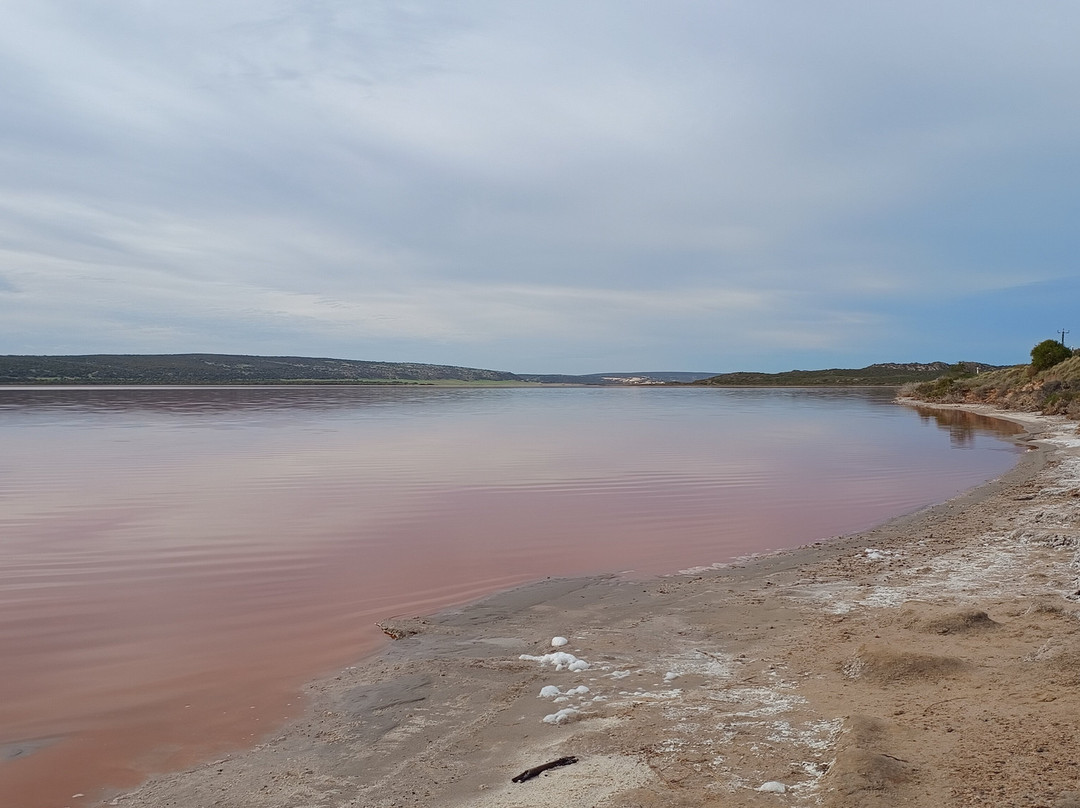 Pink Lake-卡尔巴里必去景点
