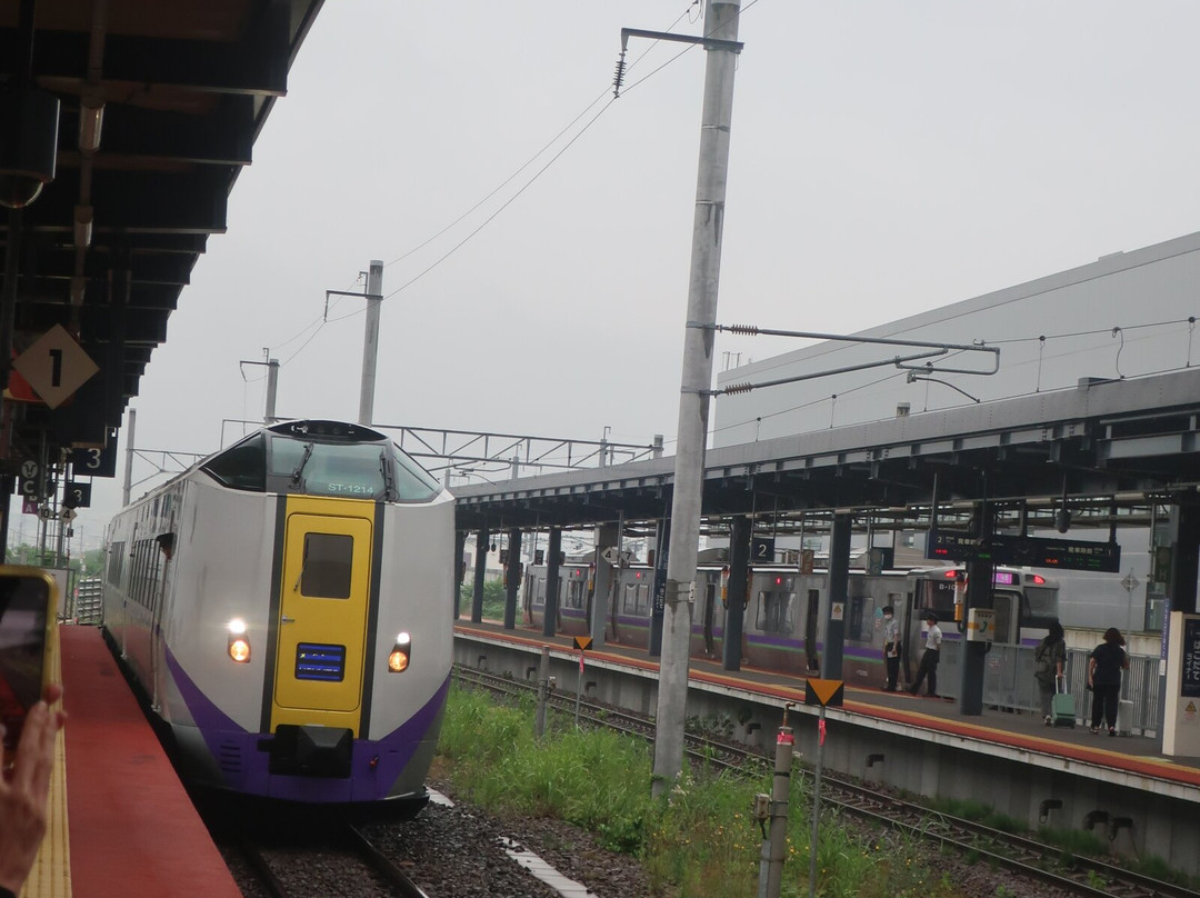 Shin-Hakodate-Hokuto Station-北斗市必去景点