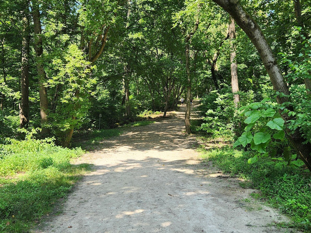 Chickies Rock Park-Columbia必去景点