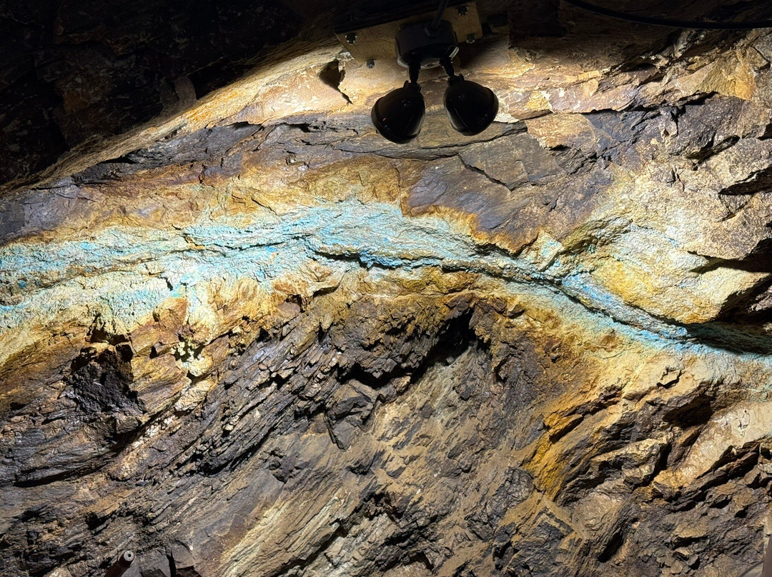 Phoenix Gold Mine-Idaho Springs必去景点