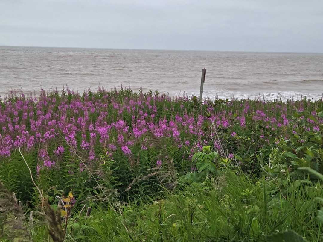 Fundy Footprints Bed And Breakfast主图