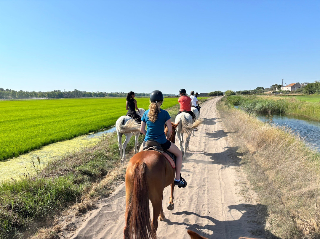 Cavalos na Areia-Comporta必去景点