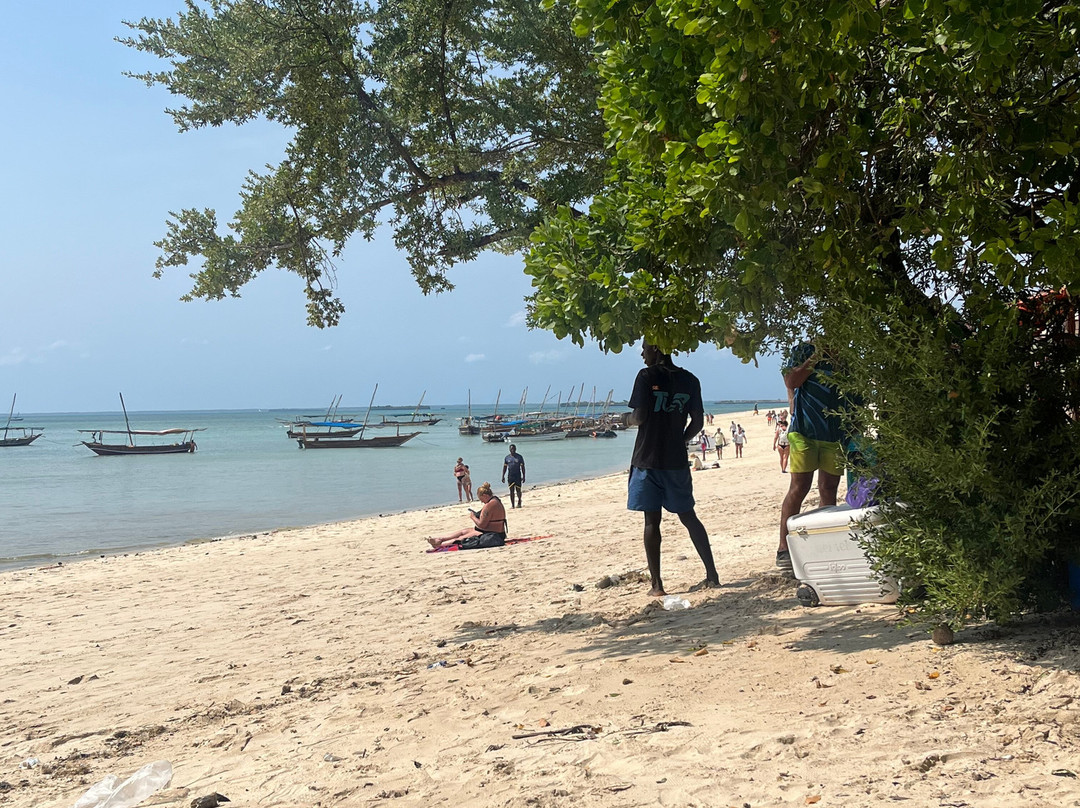 Madiba Tour Zanzibar & Safari-Matemwe必去景点