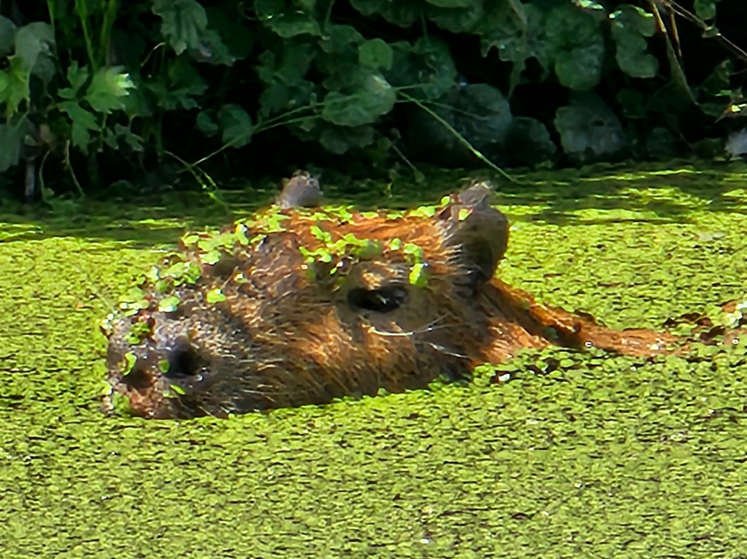 Ystad Djurpark-Skarby必去景点