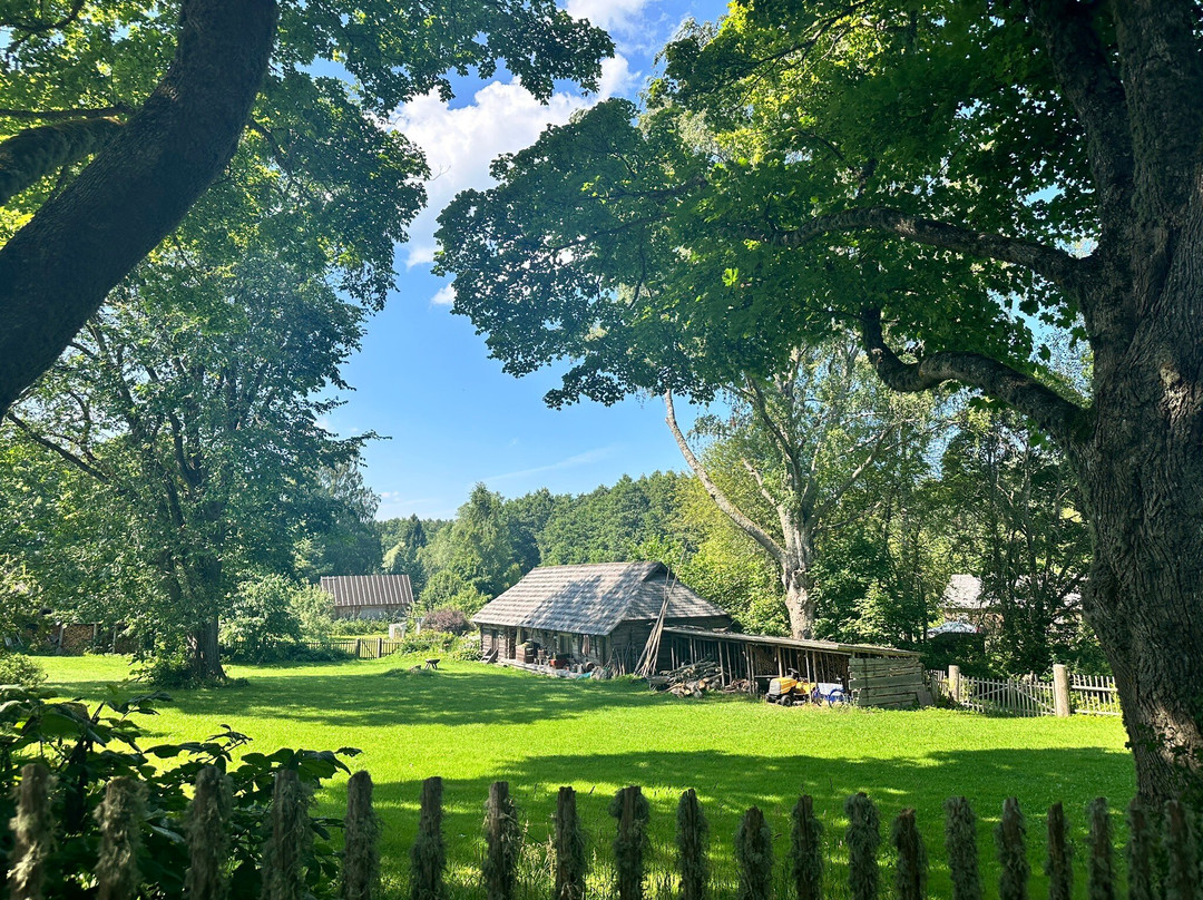 Altja Tavern-Altja必去景点