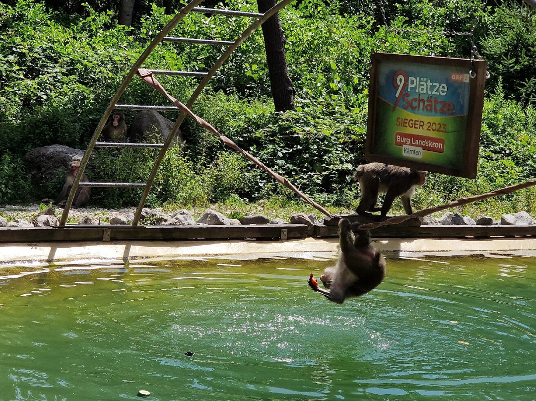 Abenteuer Affenberg tt.-Landskron必去景点