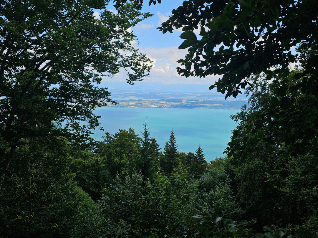 Parc Aventure Chaumont-Chaumont-de-Pury必去景点