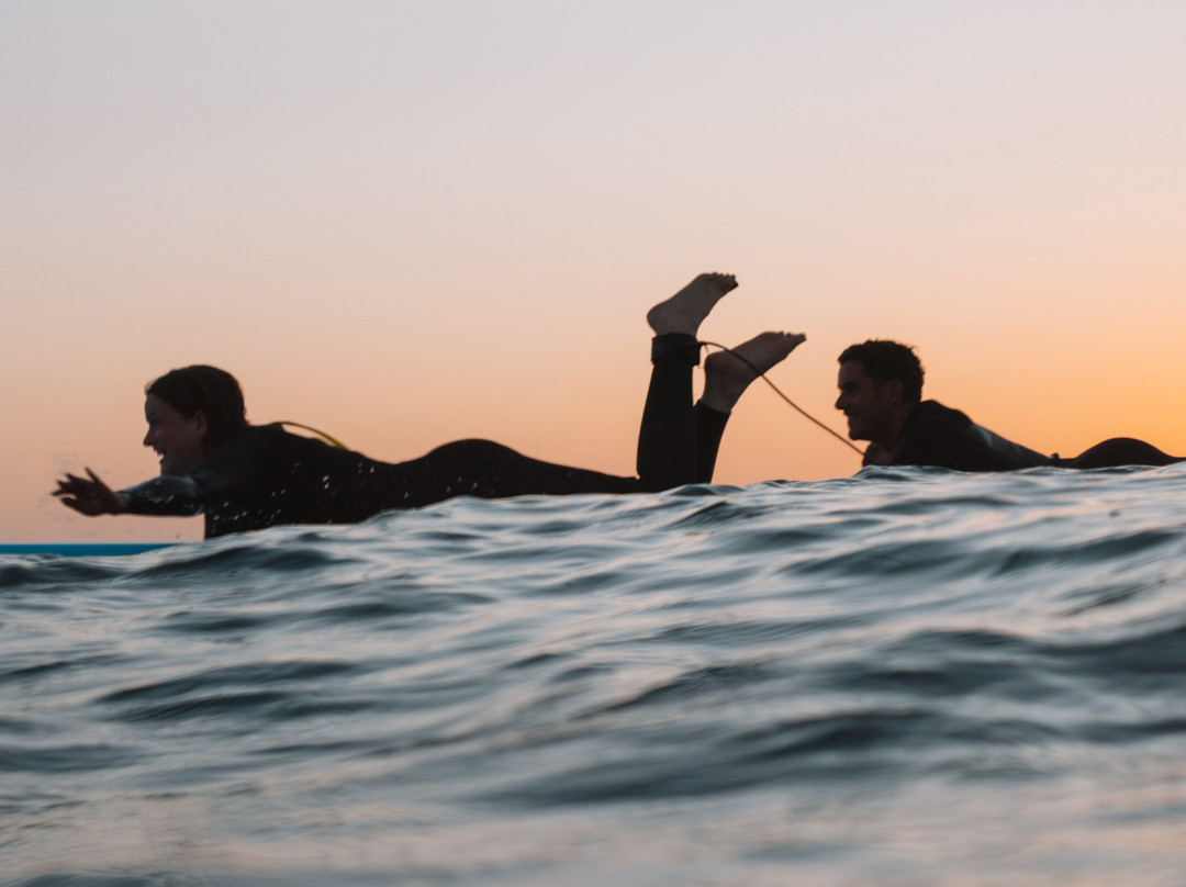 Wave Nest Surfcamp
