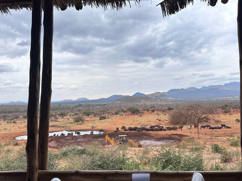 Exellent African Tours-内罗毕必去景点