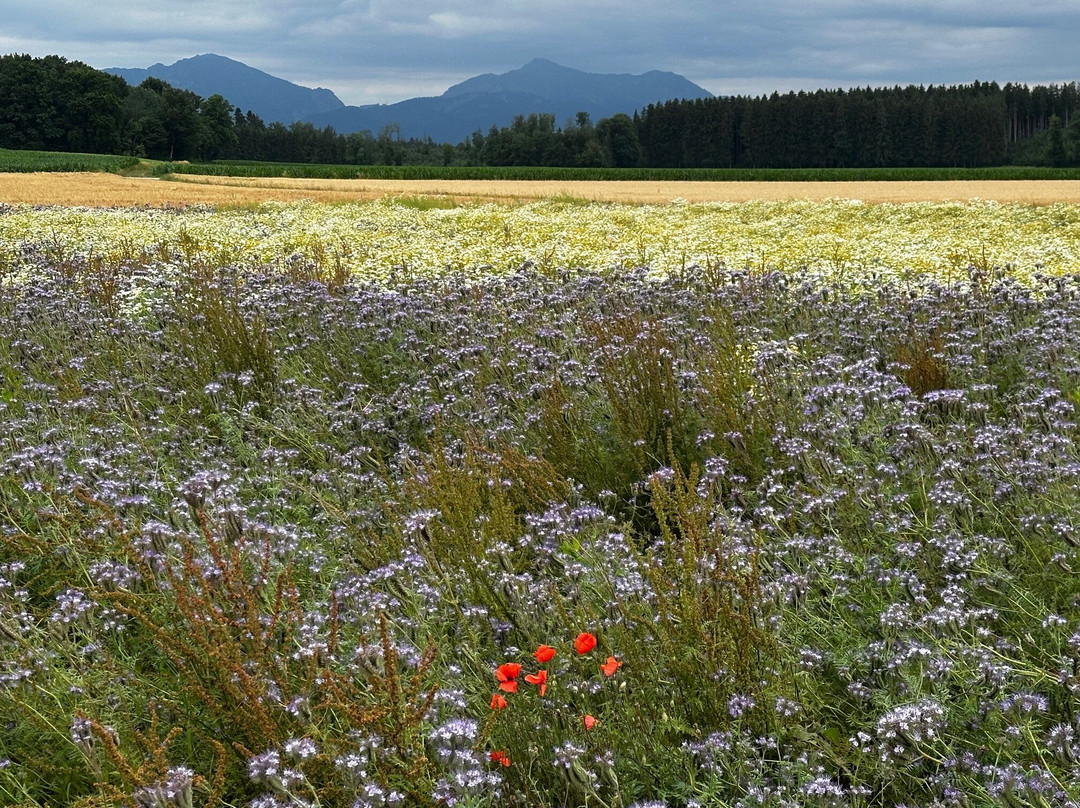 Seminarhotel Jonathan主图