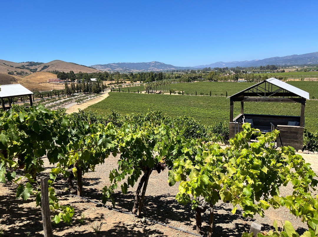 Viansa Sonoma-索诺玛必去景点