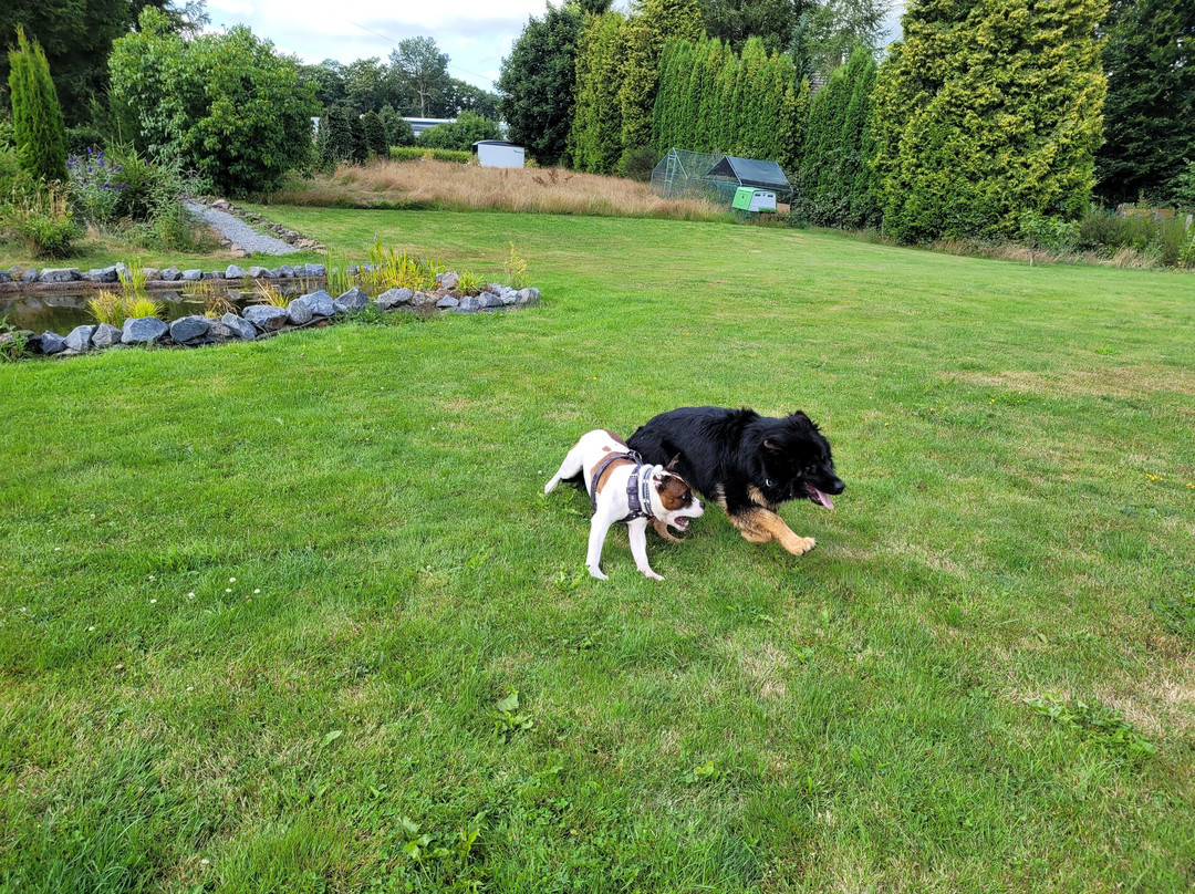 Landhaus Eifelsicht主图